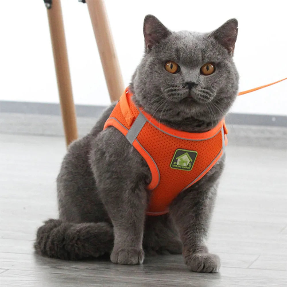 Breathable Cat Harness with Leash Anti-Escape Cat Vest Harness Collar for Kitten Pet Accessories Adjustable Puppy Harness Leads