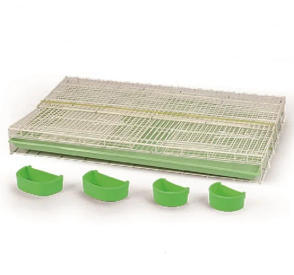 Chicken Cage for Animal Farm