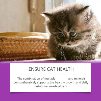 Cat Supplement All-in-1 Multi Liquid Body Care Drops Daily Supplement 60ml Body Care Drops For Supports Joint Care Skin & Coat