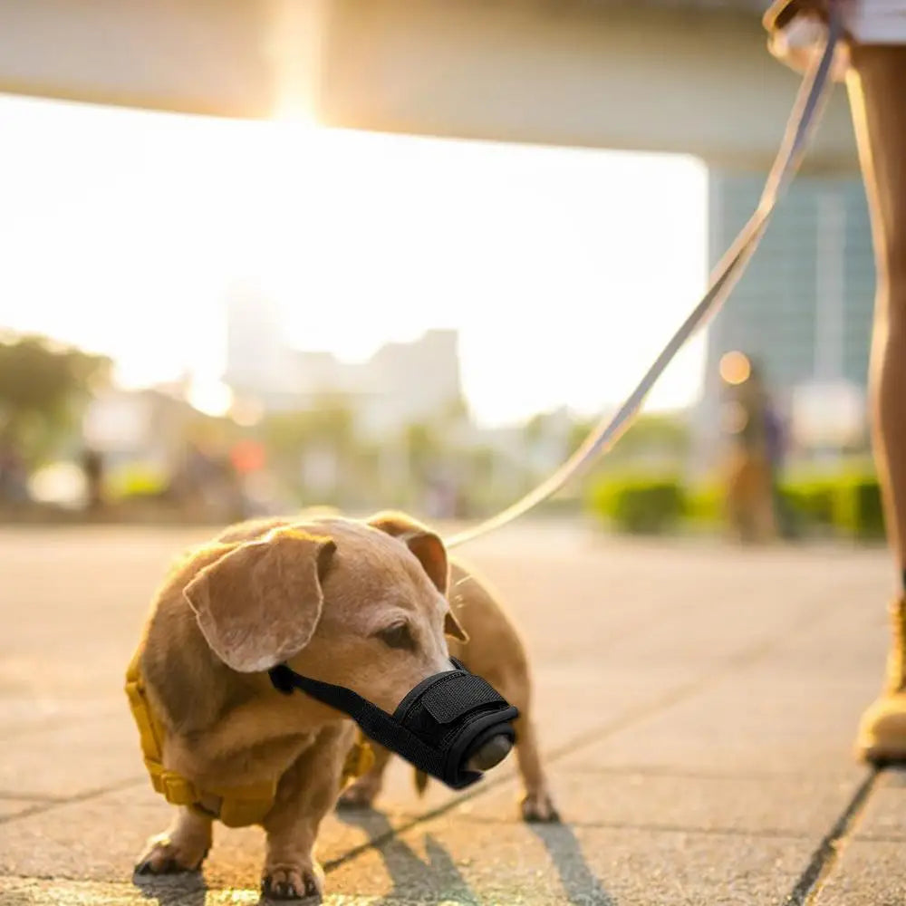 Dog Muzzle Short Snout Air Mesh Breathable Muzzle for Small Medium Dogs Adjustable Muzzle for Dogs Soft Grooming Muzzle Dog
