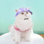 Dog And Cat Sun Hat Anti-strangle Hat Anti-fall Exposed Ears Adjustable Rope Buckle Bucket Hat Pet Supplies Colorful Large Size