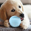 Pet Tennis Ball Dog Ball Toy Puppy Chewing Interactive Biting Toy Durable Bite Resistant Puppy Training Toys Outdoor Playing toy