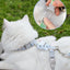 Cartoon Nylon Pet Dog Collar Accessories Anti Break Cat Small Puppy H-Shaped Harness Leash Set Travel Chihuahua Pet Accessories