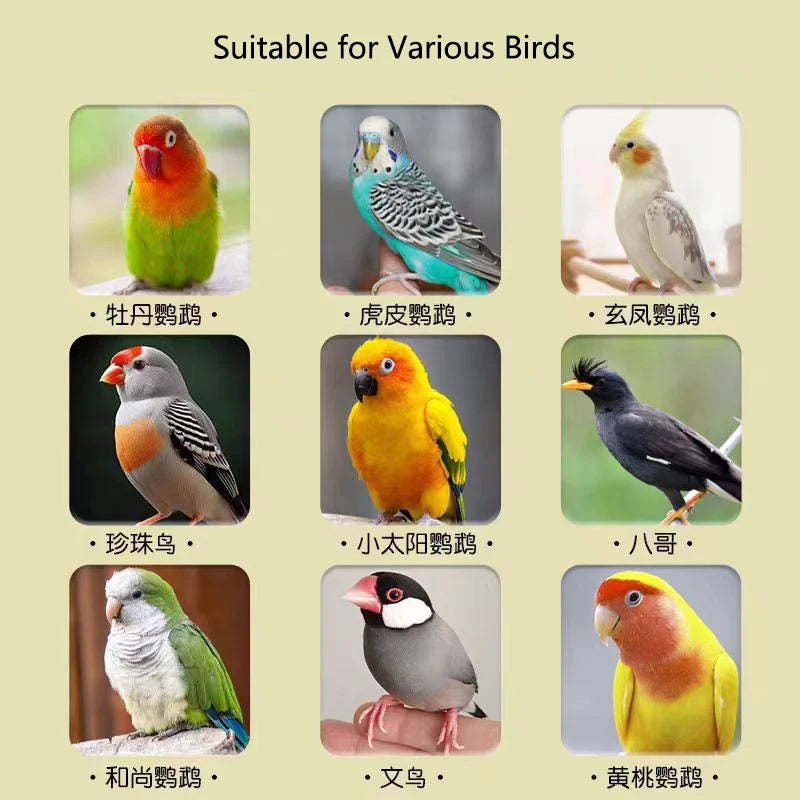 Professional Bird Parrot Teeth Grinding Apple Tree Stick Minerals Molar Stone Toys for Chinchilla Hamster Small Pet Toys Supply