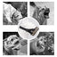Quick Release Dog Muzzles Adjustable Reflective Dog Muzzle Soft Padded Medium & Large Dogs Halter Nose Leads for Outdoor Walking