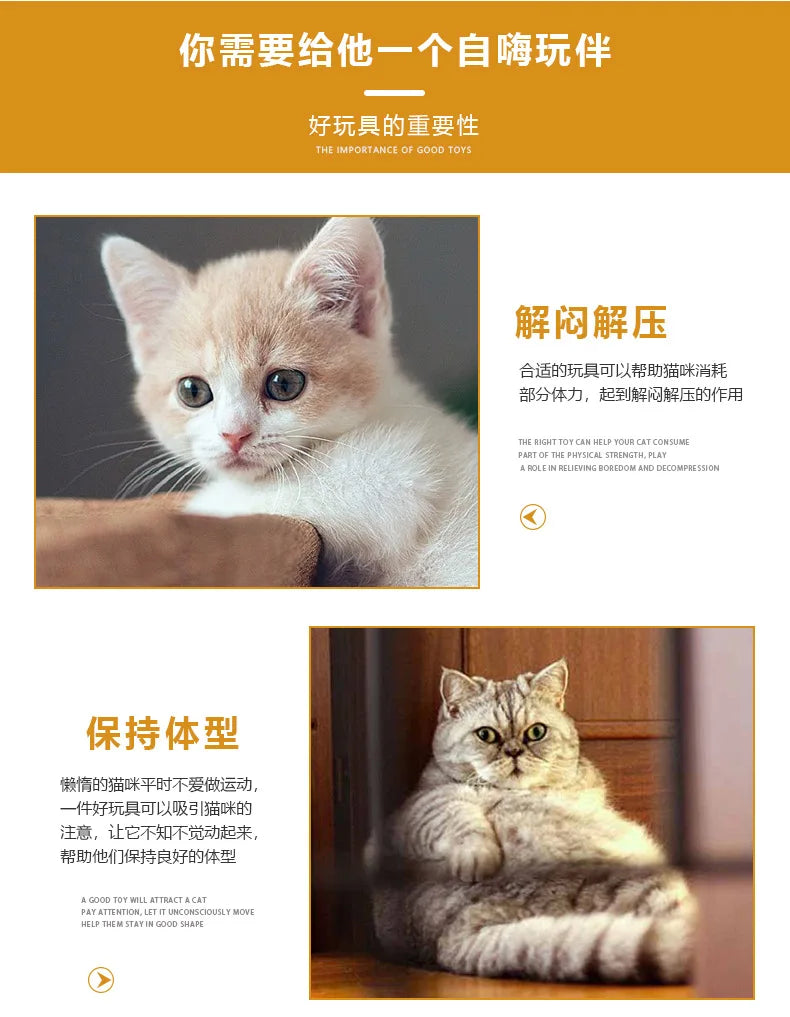 Kitten Cat Toys Interactive Cat Spring Toy Colorful Springs Cat Pet Toy Coil Spiral Springs Pet Products for Cats