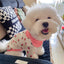 2024 Autumn Winter Thin Dog Vest Pet Dog T-Shirt Plaid Undershirts Puppy Costume Dog Hoodies Chihuahua Bichon Clothing Cat Vests