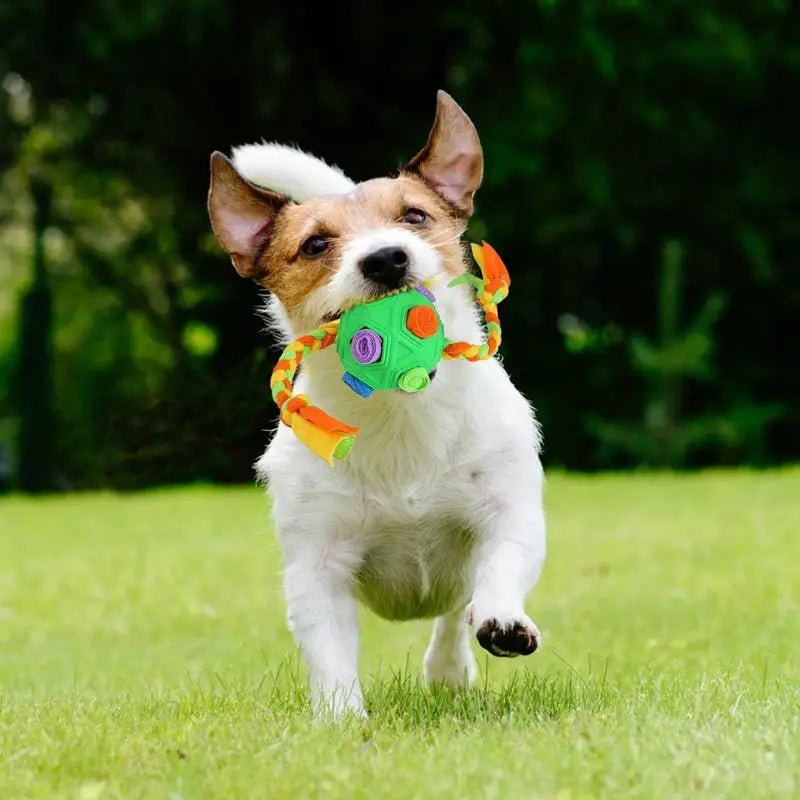 Dog Treat Hiding Toy Snuffle Ball Interactive Slow Feeder Treat Toy Slow Food Training Sniff Ball Dog Exquisite Comfortable