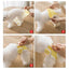 Dog Diapers Puppy Women's Panties Shorts Pet Physiological Pant Underwear Washable Female Dog Diper Panties Cat Dog Clothes 2024