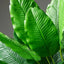 85-115cm Large Artificial Plants Bird of Paradise Tree Tropical Fake Banana Leaves Plastic Palm Plants for Home Garden Decor
