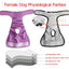 Female Dog Diapers Washable Pet Underwear for Girl Puppies Large Dogs Panties Sanitary Physiological Pants for Dogs Pet Supplies