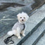 Dog Fleece Vest Chihuahua Winter Clothing For Small Dogs Warm Dachshund Dog Coat For Medium Bulldog Pitbull Maltese Dogs Jumpers