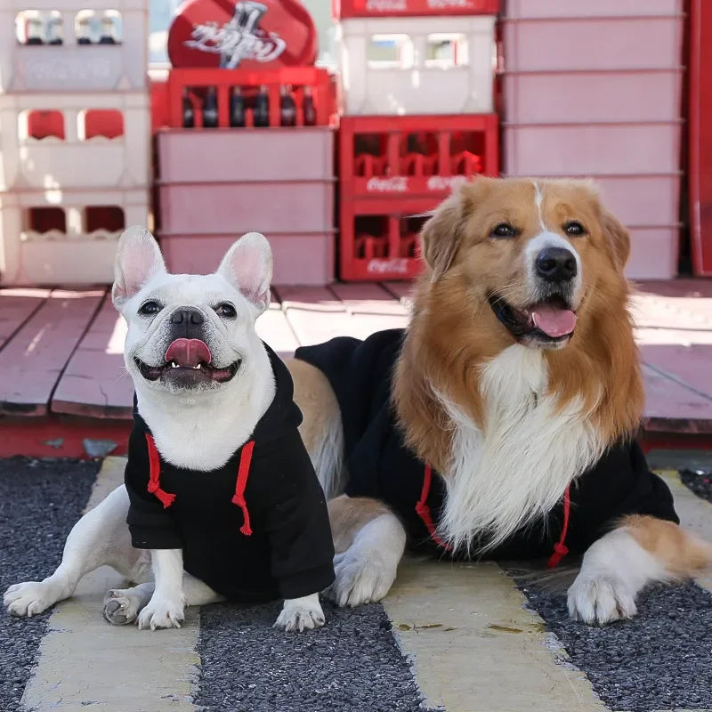 Warm Cotton Pet Dog Clothes Letter Dog Hoodie Design Cool Dog Pullover For Puppy Small Medium Dogs Chihuahua Coats