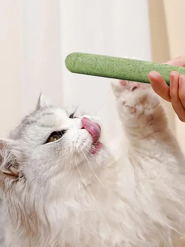 Cat Grass Teething Stick Cat Grass Sticks Pet Snacks Natural Grass Molar Rod Cat Chew Stick Teeth Cleaner Teeth Caring