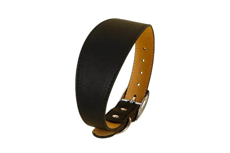 Wide Leather Dog Collar for Small Medium Large Dogs Greyhound Deerhound Lurcher Whippet Dachshund Pet Accessories
