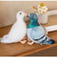 Simulation Pigeon Plush Toy Cartoon Birds Peace Dove Doll Doll Children Doll Gift Wholesale