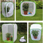 Collapsible Insect Cage Mesh Habitat Bird Butterfly Mantis Stick Grid Breeding Cricket Net Cloth Farm Cocoon Silkworm Hatch Cage