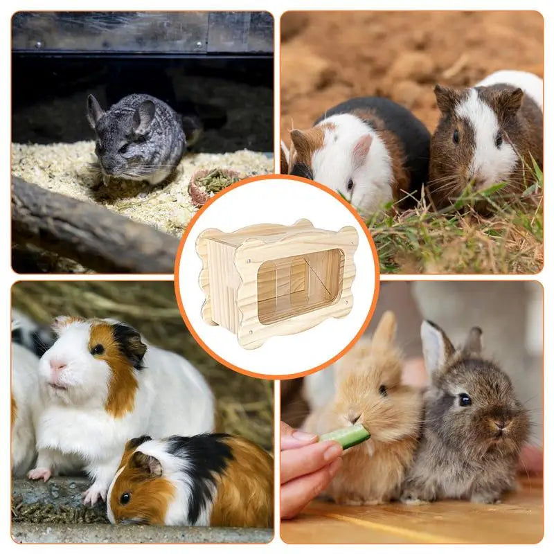 Rabbit Hay Feeder Hay Manger Small Animal Food Feeder Rack Grass Basket Food Bin Bowl For Chinchilla Pet Supplies