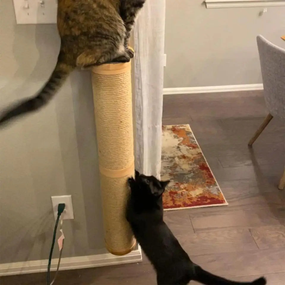 Cat Hammock Perch Thicker Columns Cat Wall Shelves Multi-Functions Cat Scratching Post Claw Sharpener Cat Tree Tower Furniture