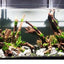 Week Aqua Z400 90W Full Spectrum Aquarium Plant Light APP Control Adjustable Height LED Freshwater Coral Plants Growing Light