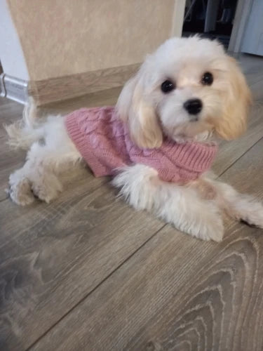 Warm Dog Clothes Knitted Clothes for Dogs Chihuahua Sweater for Small Dogs Winter Clothes for Sphinx Cat Dog Sweater for York