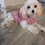 Knitted Clothes For Dogs Chihuahua Sweater For Small Dogs Winter Clothes For Sphinx Cat Dog Sweater For York Warm Dog Clothes