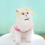 Small Dog Cat Hats Cat Cowboy Hat with Ear Holes Tiny Pet Birthday Party Costume Cat Headwear Puppy Dog Kitten Hat Chihuahua Cap