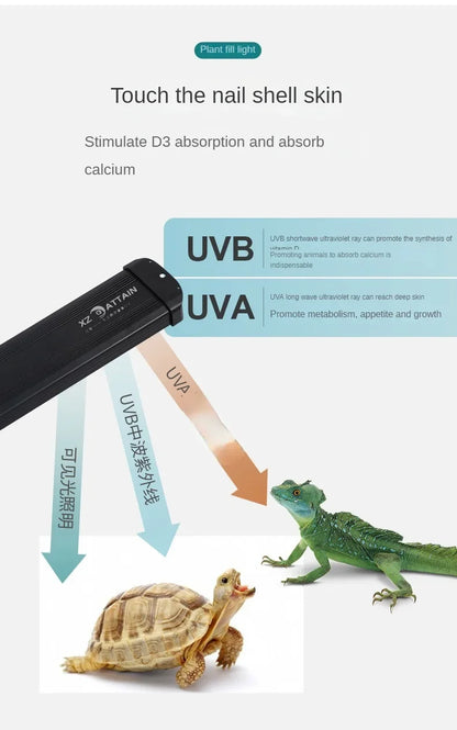 UVA+UVB Reptile Full Spectrum LED Light Turtle Lizard Snake Terrarium Sunbathe Heat Lamp 10.0 20.0 Sun Lamp Sunbathe Heat Lamp