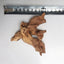 Natural Tree Trunk Aquarium Decoration Sunken Wood Artwork Decor Landscaping Ornaments Decor Fish Tank Ornament Different Shape