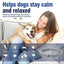 38/70cm Dog Calming Collar Pet Cat Anxiety Reducing Pheromone Collar for Dogs Releases Pheromones for 60Days Helps Calm for Dogs