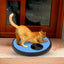 Pet Nail Scratcher Cat Nails Scratch Pad For Dog Treat Effective Dog Nail File Toy Feeder Nonirritating Dog Paws Scratch Board