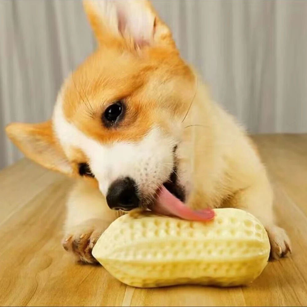 Safety TPR Squeaky Dog Toys Bite Resistant Pet Chew Toy for Puppy Medium Large Dogs French Bulldog mascotas Interactive Products