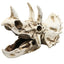 1pcs Aquarium Decorations Resin Fossil Artificial Fish Tank Ornament Shrimps Small Fish Reptile Aquarium Shelter Landscape Decor