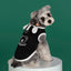 Dog clothes for small dogs Summer Comfortable Breathable T-shirt Puppy Cats Clothing Hooded Dog costume Summer chihuahua clothes