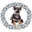 Diamond cats Dogs Necklaces Chain Collar 15MM wide Luxury Jewelry Necklace Cuban Gold Chains for Dogs and Cats