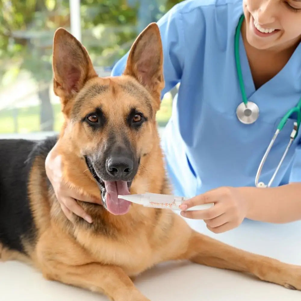 Pet Teeth Cleaning Pen Cat/Dog Tooth Whiten Pen Pet Grooming Toothbrush Cleaning Kit Fresh Breath Soft Bristles Pet Toothbrushes