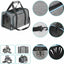 Pet Carriers Backpack Portable Breathable Foldable Cat Bag Transport for Cats Dog Carrier Bags Outdoor Travel Pets Transport Bag