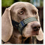 Quick Release Dog Muzzles Adjustable Reflective Dog Muzzle Soft Padded Medium & Large Dogs Halter Nose Leads for Outdoor Walking