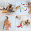 Cats Toy with Catnip Plush Cat Toys for Kitten Teeth Grinding Thumb Pillow Chewing Toy Claws Thumb Bite Pet Accessories