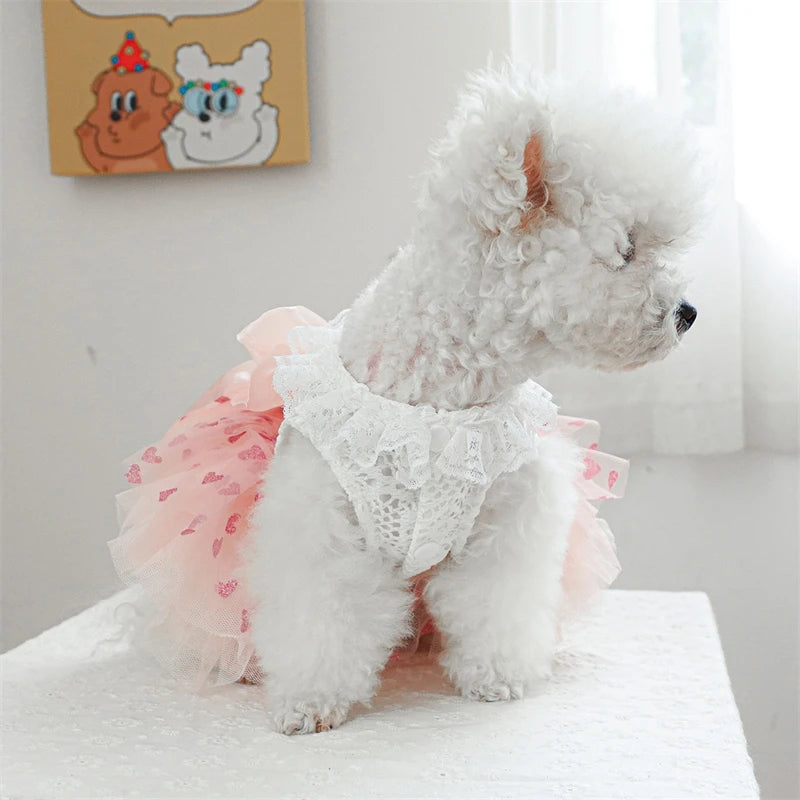 Bow Tie Female Fancy Dresses for Medium Dogs Pink Veil Romantic Heart Print Spring Puppy Tutu Skirt Lace Wedding Cat Clothing
