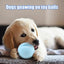 Pet Tennis Ball Dog Ball Toy Puppy Chewing Interactive Biting Toy Durable Bite Resistant Puppy Training Toys Outdoor Playing toy