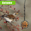 4Pcs Metal Suet Ball Bird Feeder Set with Hanging Chain Squirrel Proof Bird Feeders for Outdoor Garden Hummingbird Feeders