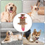 Stuffless Squeaky Dog Toys Interactive Plush Puppy Chew Toys With Squeakers Crinkle Interactive Toy No Stuffing With Squeakers