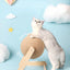 Clearance_Cat Supplies_Continuous updates