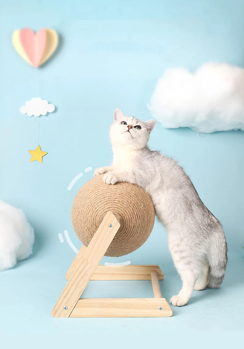 Clearance_Cat Supplies_Continuous updates
