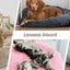 Super Soft Pet Cat Bed Plush Full Size Washable Calm Bed Donut Bed Comfortable Sleeping Artifact Suitable For All Kinds Of Cats