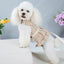 2023New Dog Harness Elegant Comfortable Breathable Pet Dress Collar For Small Dogs Fashion Lovers Vest Dog Harness and Leash Set