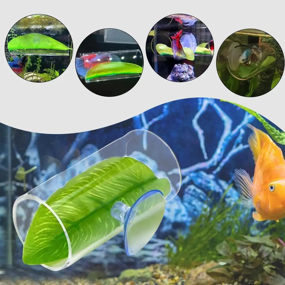Betta Acrylic Tube Betta Fish Resting Tube Safe Enrichment Acrylic Tube Multifunctional Betta Tunnel Swim Tube Smooth