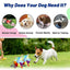 Interactive Ball Toys With Grab Tabs Dog Bite Chew Balls Pets Accessories Puppy Outdoor Training Soccer Pet Supplies 16cm