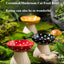 Mushroom Cat Bowl Cute Polka Dot Safe Ceramic Elevated Cat Feeder for Cats and Dogs Drinking Water Bowl Cat Feede Pet Supplies
